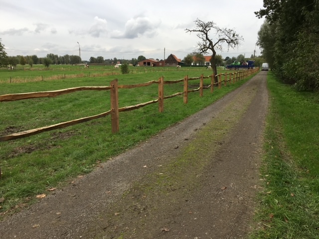 Poort Michigan eik (1)