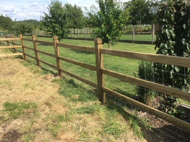 Texas III met schapendraad (3)